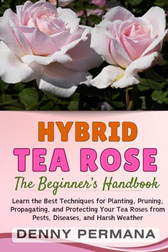 The Ultimate Hybrid Tea Rose Guide: Your Step-by-Step Blueprint to Growing and Caring For Stunning Hybrid Tea Roses