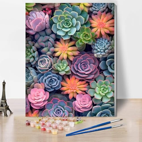 Jakener Succulents Paint by Numbers for Adults with Frame,Painting by Numbers for Adults DIY Paint by Numbers Kits for Home Wall Decor 12x16inch