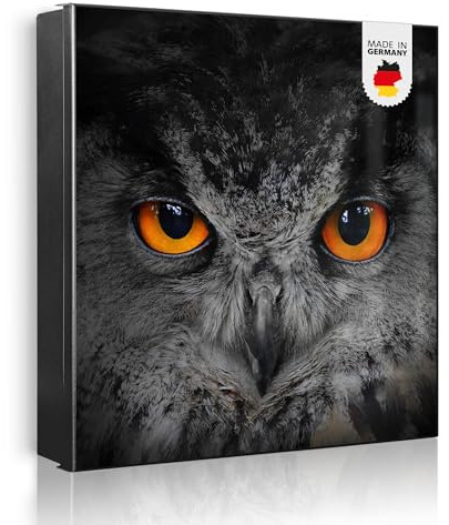 banjado Großer Schlüsselkasten Metall - Schlüsselbox 30x30cm mit 32 Haken - Schlüsselkasten modern für Schlüsselaufbewahrung mit beschreibbarer, magnetischer Tür - Motiv Uhu