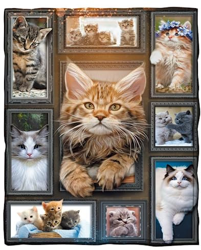 DOTERO Katzen Kuscheldecken Sanft Flanell Weich Fleecedecke Bettüberwurf Kätzchen Katzes-Decke 150x200cm Katzenmotiv (1,150x200cm)