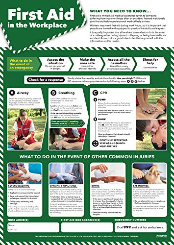Daydream Education Posters di primo soccorso sul posto di lavoro | Salute e sicurezza | Carta lucida laminata 420 mm x 594 mm (A2) | Cartelle da parete per ufficio e commerciale | Schede educative by