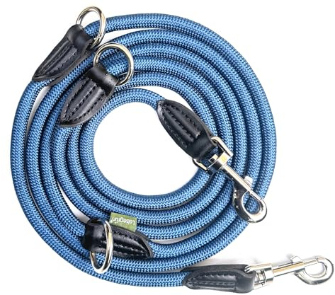 Leisegrün Verstellbare Hundeleine 3m - Robuste Nylon Doppelleine für mittelgroße bis große Hunde, 200kg Zugkraft, 2 Karabiner - Blau