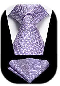 HISDERN Cravatta Viola Uomo Cravatte e Fazzoletto Elegante Cravatta da Matrimonio Business