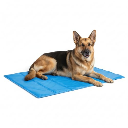 Grands sacs de glace, froids pour les blessures, sacs de glace chauds et froids, réutilisables en gel, compresse froide pour se détendre