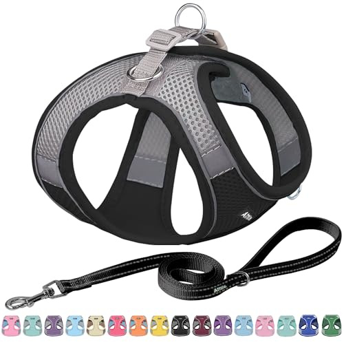 AIITLE Hundegeschirr, No-Pull Katzengeschirr mit Leine, Schwarz XXXS | einstellbare reflektierende Hundeweste, Welpengeschirr fluchtsicher, Spaziergang im Freien für kleine Hunde und Hauskatzen