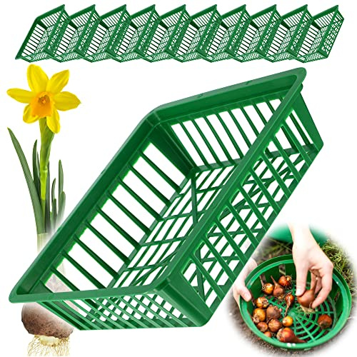 KADAX Växtkorg för blomsterlökar, odlingskorg av plast, odlingsskål för grönsaksväxter, blomsterlökkorg i 2 former för vårblommande (28 x 26 cm, 10 stycken set)