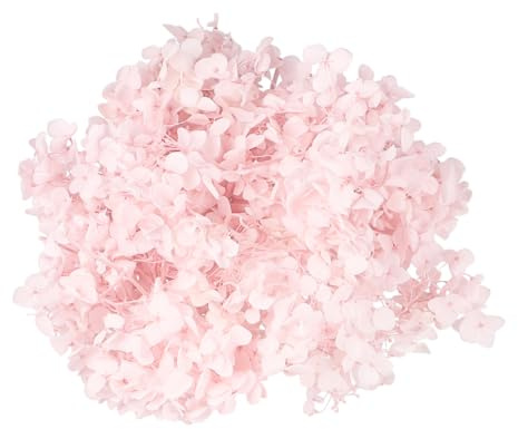 Alipis 1 Paquete Pétalo De Bricolaje Pétalos De Flores De Hortensia De Seda Pétalos De Hortensia Reales De Flores De Seda De Secas DIY Petal Secas Boda
