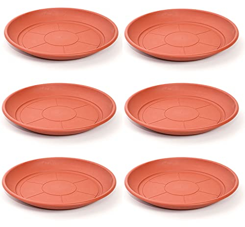 Acan Pack de 6 Platos de plástico para macetas de 20/25 cm Mediterránea. Bandejas, platillos, bajoplatos Redondos para tiestos de Interior, Exterior, jardín, terraza o balcón (Marrón)