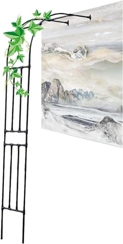 Schwarzer Metall-Halbbogen for den Außenbereich, Gartenwand, Rankgitter, Gartenbogen mit Pflanzen-Torbogen, Kletterrosen, Ranken, Stützgestell, Weiß, einfache Montage, Weiß ( Size : 220x240cm )