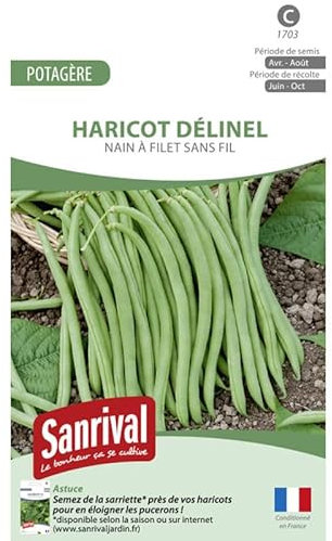 Graines Haricot Delinel