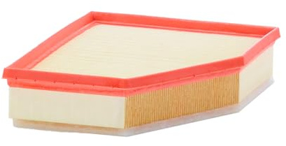MANN-FILTER, C 28 038 Luftfilter | För bil, ren lufttillförsel, hållbart filtermedium, exakt passform, äkta OE-teknik