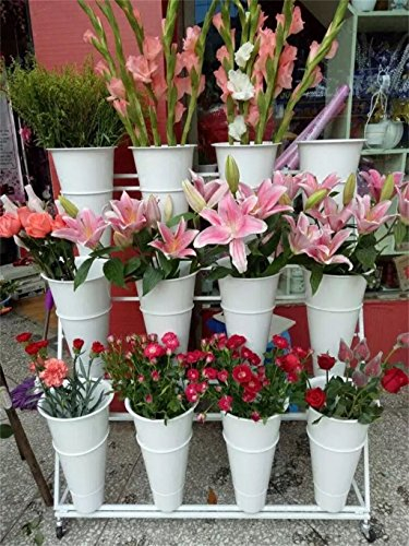 Blumentreppe Pflanzenregal Pflanzentreppe Flower Shop Flower Stand Eisen Blumentopf Regal, 3 Tiers Flower Bucket Rack, Eisen + Kunststoff, Breite 100 * Tiefe 50 * Höhe 110cm (Farbe : Weiß)