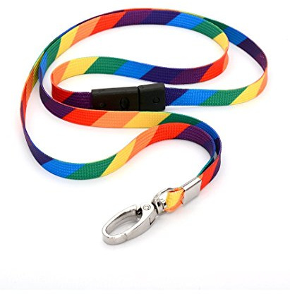 CKB LTD Arco iris Correa para Cuello Cordón Cuerda Lanyard Llavero de seguridad para el cuello con clip de metal giratorio para soporte de tarjeta de identificación arcoíris multicolor,
