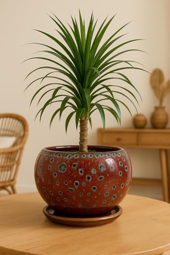 Generisch Vaso da fiori in ceramica Crimson Reef – Vaso fatto a mano con forma rotonda e smalto rosso con effetti blu – Vaso per piante da interno e decorazione – Ø 18 cm