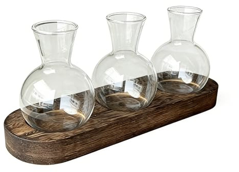 Propagation Vases For Plants - Functional Wood Base Rooting Terrarium | Stable Wooden Base Frame Hydroponic Glass Planter - For Bedroom Bookshelf Dorm Living Room Workplace Table Counter