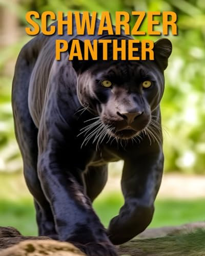 Schwarzer Panther: (Tierbücher für Kinder)