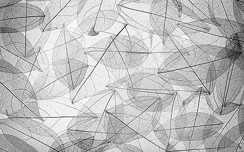 Fototapete Retro-Schwarz-Weiß-Blattader-Textur Foto Tapete 3D Effekt Tapeten Vliestapete Wandbilder Wanddeko -303482 350x250cm