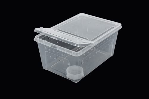 ReptiZoo Kunststoffterrarium inkl. Kleiner Wasserschale - medium (RT2016M)