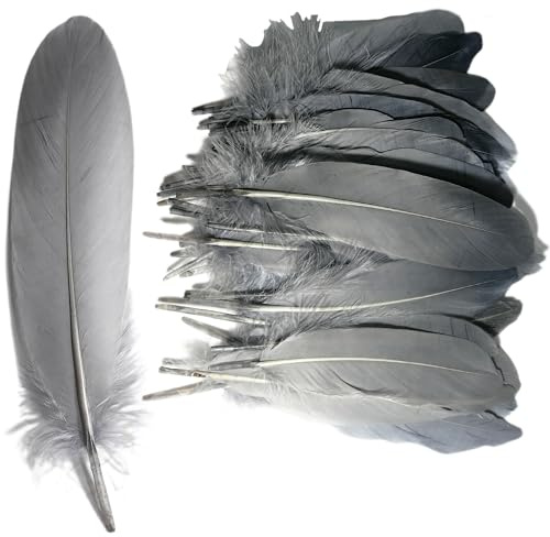 syiyunran Natural Craft Federn - 50 Stück für DIY Hochzeitsdekorationen, Federmasken, Bunte Traumfänger Dekoration Kann als Dekorationsrequisite Partys, Aufführungen usw Verwendet Werden(hellgrau)
