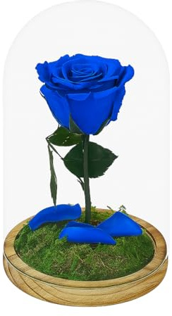 Mundo Eterno | Rosa Preservada Azul Oscuro en Cúpula de Cristal | Rosa Eterna Natural | Regalo Romántico y Decoración Atemporal | Sin Mantenimiento | liofilizada