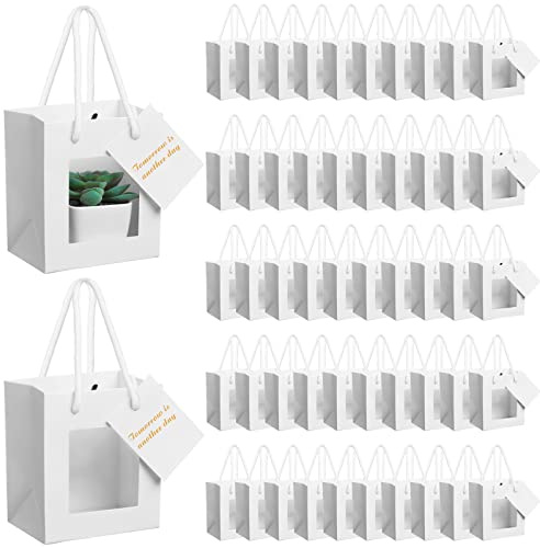 Fuutreo 50 st vit presentpåse med genomskinligt fönster liten kraftpresentpåse med handtag och presentetikett pappersbärkasse, bröllop, alla hjärtans dag, examensväska (4 x 6,75 x 4,5 tum)