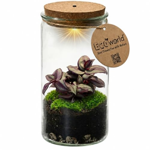 vdvelde.com - Mini ökosystem - Wartungsfreies Pflanzen Terrarium - Ø 11 cm ↥ 21 cm - Batteriebetriebene Beleuchtung