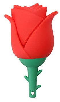 HOZYALE USB Flash Drive Cute Cartoon Shape USB 2.0 Memory Stick Pen Drives with Gift Box (16GB, Rose)