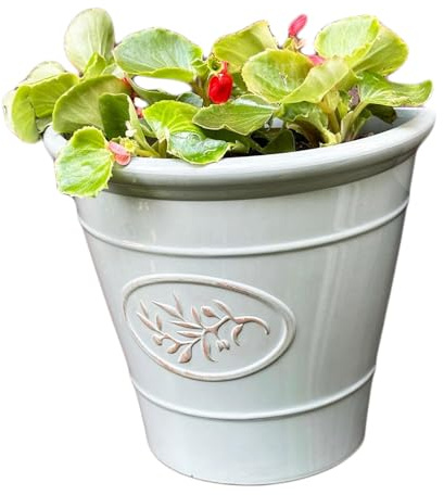 Darthome Glossy Wall Planter, Grey, Ceramic Effect Plastic, Semi-Circular, Weather-Resistant, 21x23cm (1)