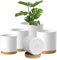 Homeuouz 5 Packs Blumentopf mit Untersetzer, 17.8/15.2/14/12.7/10.2cm Pflanzentopf, Plastik Übertopf, Hydrokultur Topf, Blumentöpfe Set Ideal für Innen und Balkongärten, Weißes mit braunes Tablett