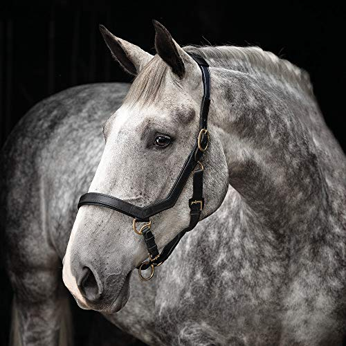 Horseware Rambo Micklem Halfter Leder Schwarz HW 20, Größe:Full, Farbe:Black
