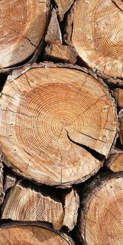 Magnettafel Pinnwand XXL Bild Holzoptik Holzscheiben Holz Größe 60 x 120 cm