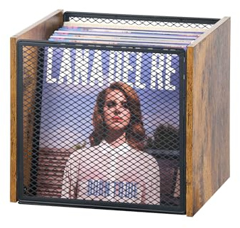ZOESTORAGE Schallplatten Aufbewahrung,Schallplattenständer für 50–60 LPs, Schallplatten Halter für Ordner, Bücher, Fotoalben, Rustikales Braun