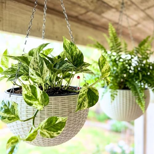 LáLáGreen Vaso Sospeso Autoirrigante da 28 cm con Indicatore del Livello dell'Acqua, Fioriera Rotonda Effetto Rattan con Catena in Metallo per Balcone, Giardino e Terrazza (4)