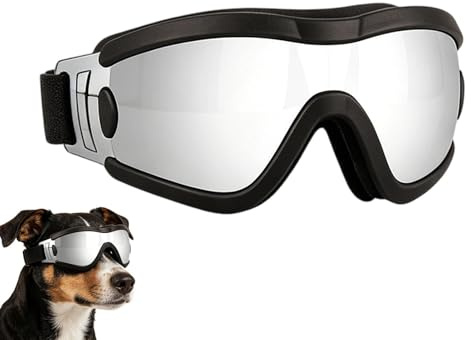 Hundsolglasögon Vindtätt Husdjursskyddsvisir | Hundsolglasögon Anpassade för Hundraser Lämplig För Sommarvandring Utomhus Sport Ridning Och Körning Tillgänglig I Medium