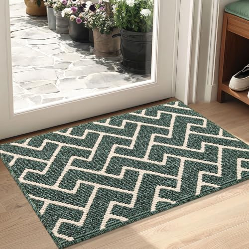 Biscpro Schmutzfangmatte 50x80 Fußmatte, Wasserdicht Schmutzabsorption Matte Fussmatte für Außen Innen Eingang, Garten, Teppich, küchenteppich