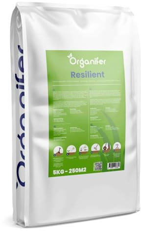 Semi Di Erba A Germinazione Rapida (5 Kg/250 M2) - Prato - Per Prati Sportivi E Ricreativi - Certificati Nak - Organifer