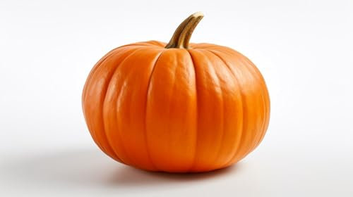 5 Samen Atlantic Giant Kürbissamen, Riesenkürbis bis 300 kg, Aussaat April-Mai, Ernte September-November