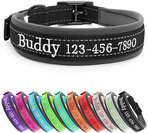CHRYMPETIC Personalisiertes Hundehalsband mit Namenstickerei | Reflektierendes Nylon, weiche Neoprenpolsterung, Metallschnalle, passende Leine erhältlich