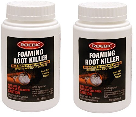 Roebic FRK Foaming Root Killer, 1-Pound (2, 1 lb)