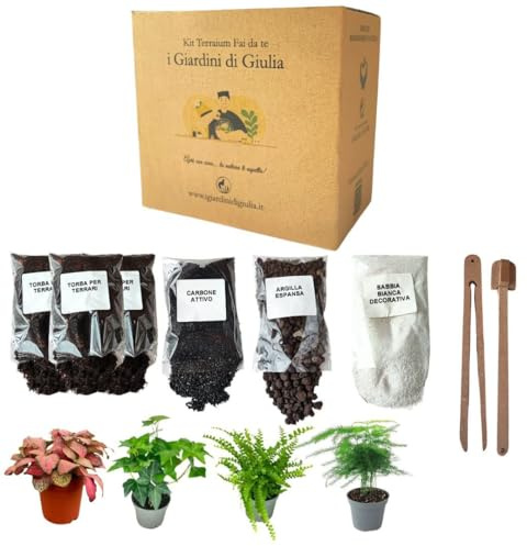 I GIARDINI DI GIULIA - Kit per Terrarium Fai-da-Te – Crea un Ecosistema Autosufficiente con i Tuoi Contenitori – 4 piantine, Terriccio e Carbone Attivo Inclusi – Kit Terrario Completo di paintine