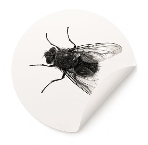 WC Aufkleber Fliege, 6er-Set Urinal Sticker für Pissoir und Toilette, Ø 20 mm, transparente Folie, lustige Toiletten Aufkleber als Zielhilfe, langlebig bis zu 2 Jahre, mit Klebeanleitung