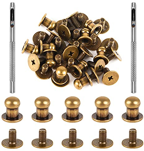 Haisheng 80 Set Rivetti in Pelle, Viti a Bottone a Testa Tonda per Borsa, Accessori Rivetto Chiodo Tondo con 2 Punzoni Rotondi/Set