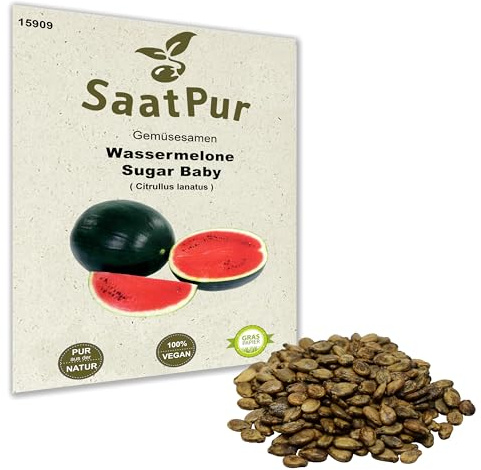 Wassermelone Sugar Baby süß & saftig geeignet für Hochbeet Frühbeet Gewäschshaus Saatgut für ca. 8 Pfl.