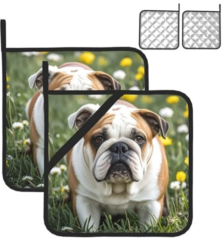 Topflappen-Sets, hitzebeständige Topflappen für Küche, englische Bulldoggen, Topflappen mit Aufhängeschlaufen, waschbare Ofen-Pads, Frottee, Hot Pat für Grill, 20,3 x 20,3 cm, 2 Stück