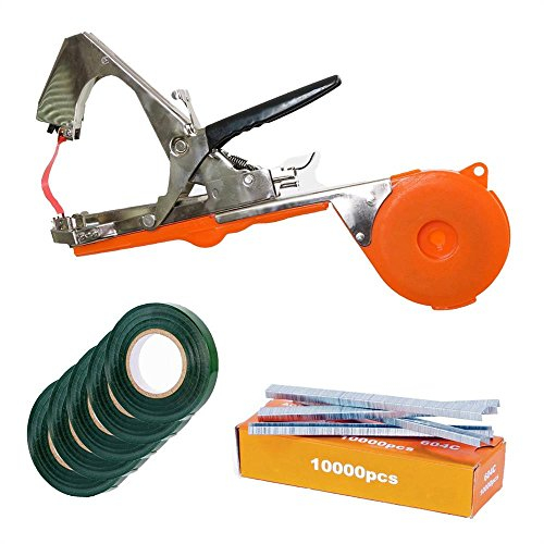 Set pince à lier FUXTEC FX-BZ30 en acier inoxydable avec 5 rouleaux de rubans et 10000 agrafes permet reliure nouage et accolure de branches, fleurs, légumes, vigne et garantie de productivité