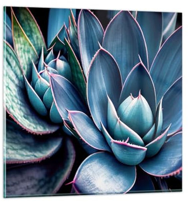 Wandbilder Dekoration Wohnzimmer Blumen Botanik Sukkulenten Bilder auf Glas 50x50cm Glasbild Schlafzimmer Küche Deko Wand Kunstdruck Art Klein Wanddeko Bild im Glas Modern Wall Decor GAC50x50-6007