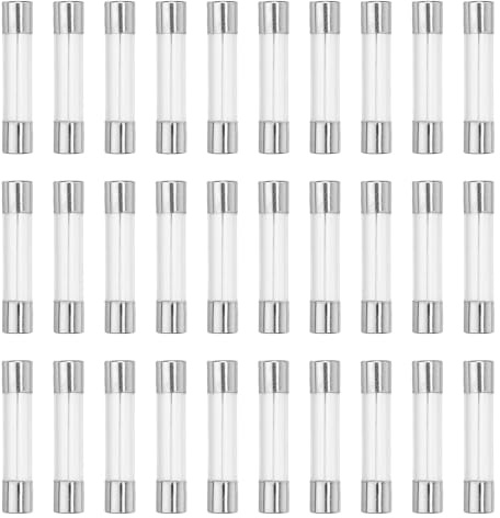 QUARKZMAN 30 Stücke Feinsicherung 10A Glassicherung 250V Sicherungen Schnellschlag Glasrohrsicherung 6x30mm