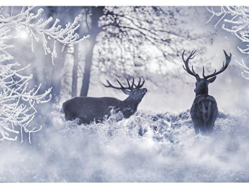 Runa Art Fototapete Winter Hirsch Schnee 352 x 250 cm Vlies Tapeten XXL Moderne Wandtapete Wohnzimmer Schlafzimmer Blau 9212011b