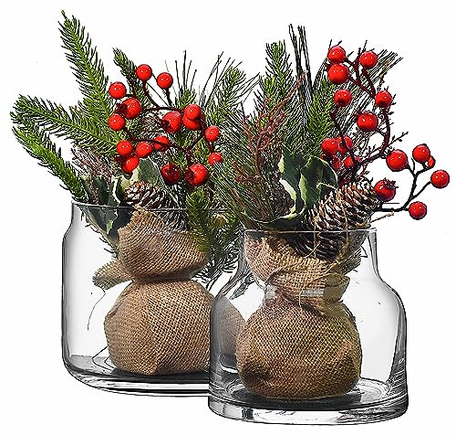 SOLAVIA Lot de 2 pots de fleurs en verre transparent Orchidée 15 x 13 cm