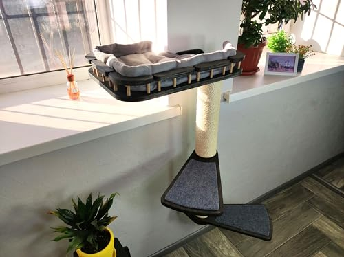 RshPets® Kratzbaum Wand - Fenster Katzenhängematte - Kletterwand Katzen - Katzentreppe Wandmontage - Wandkratzbaum für Katze (Dunkle Farbe, Rechte Seite)